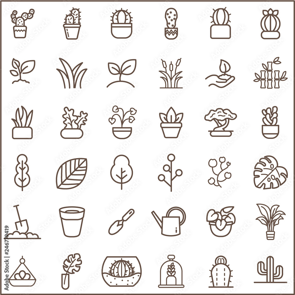 Set of plant and cactus Vector Icons. Contains such Icons as succulent, blooming plant, monstera, leaf, foliage, bough, tree, houseplant, terracotta pot And Other Elements.