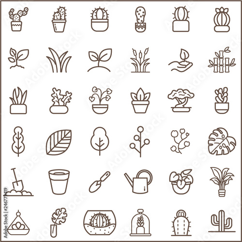 Set of plant and cactus Vector Icons. Contains such Icons as succulent, blooming plant, monstera, leaf, foliage, bough, tree, houseplant, terracotta pot And Other Elements.