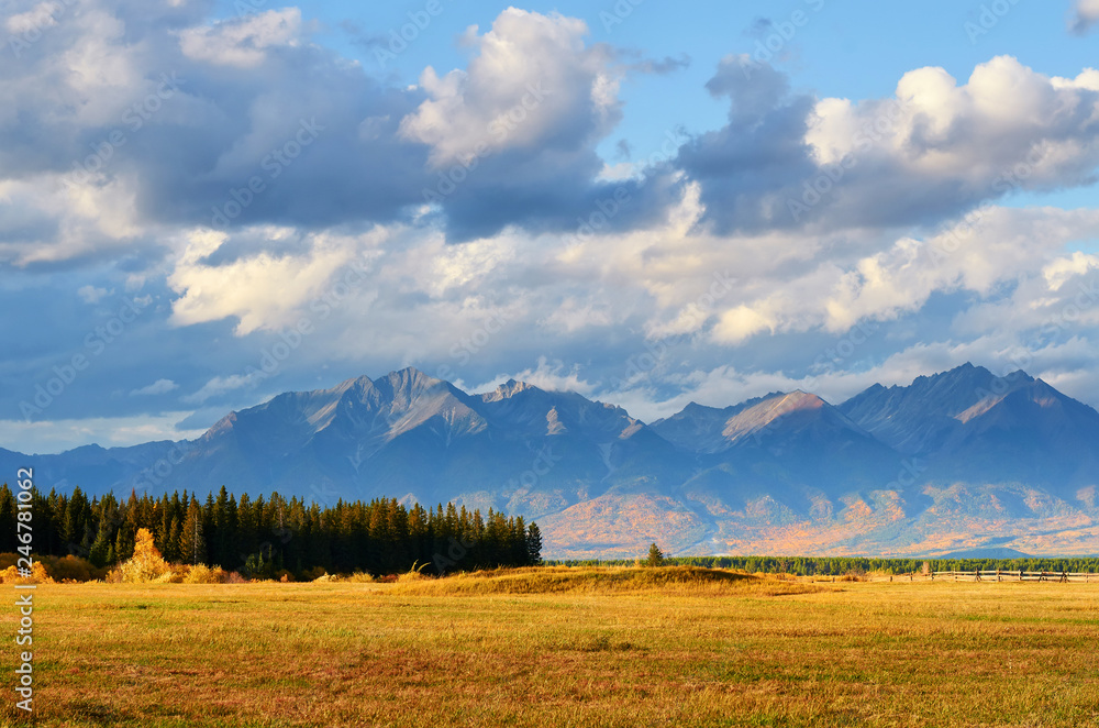 Obraz premium Golden Autumn at the foot of the Sayan Mountains