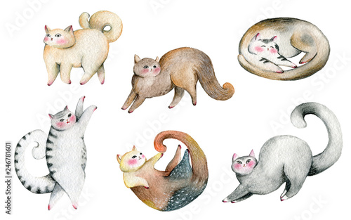 Canvas Print Cute cats set