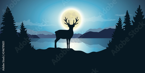 reindeer by the lake moon shine by night blue wildlife nature landscape vector illustration EPS10