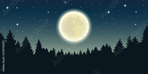 starry sky with full moon in forest landscape vector illustration EPS10