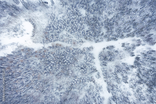 Mountain snow covered pine forest, top down aerial view. Winter landscape. © Curioso.Photography