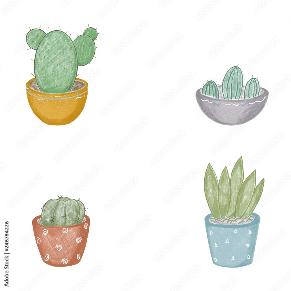 Illustration of cacti in pots of four different types in color on a white background