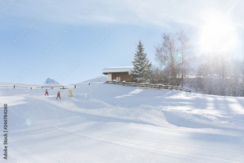 Skiing kids in snowy mountain landcpape