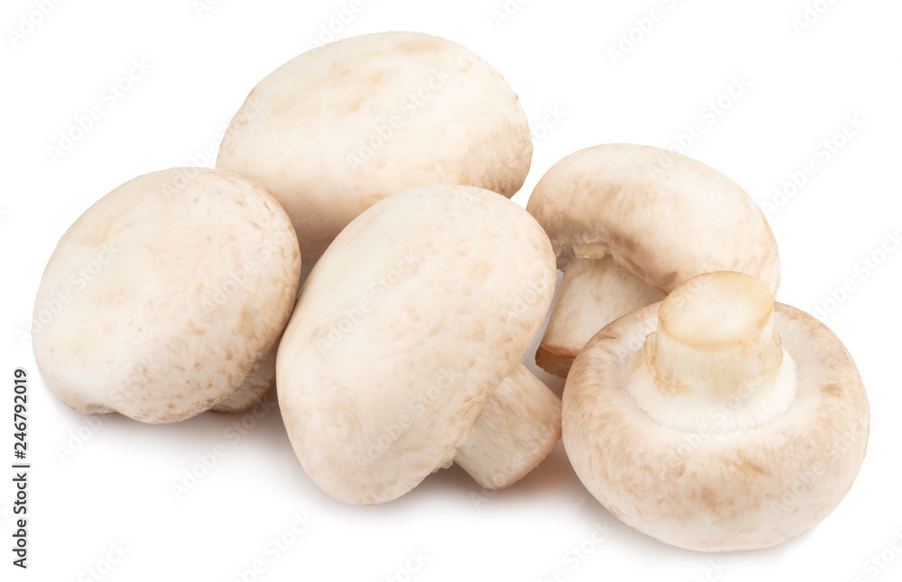 champignon mushrooms isolated on white background, with clipping path champignon mushrooms isolated on white background, with clipping path