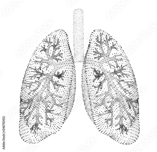 vector lungs and bronchi. vector design. point and dot style