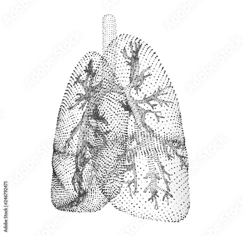 vector lungs and bronchi. vector design. point and dot style