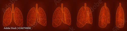vector set. lungs and bronchi. 3d elements for design