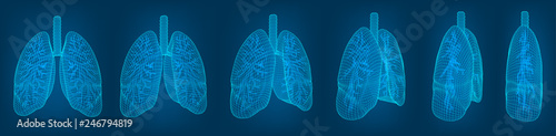 vector set. lungs and bronchi. 3d elements for design