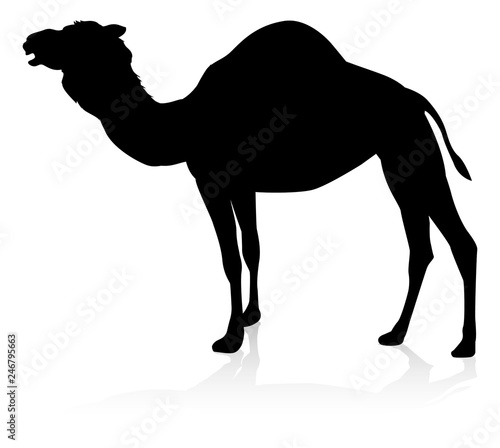 An animal silhouette of a camel