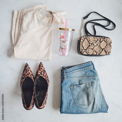 Fashion Lady Clothes Set. Stylish snake Handbag Clutch, trendy leopard shoes. Flat lay on white background