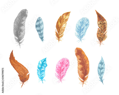 Watercolor boho bird feathers elements set isolated on white background for your design. Hand drawn.