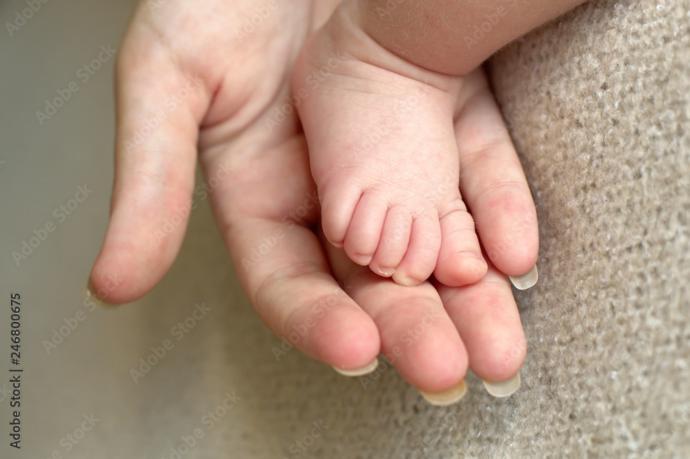 legs of a newborn baby in mom's hand legs of a newborn baby in mom's hand