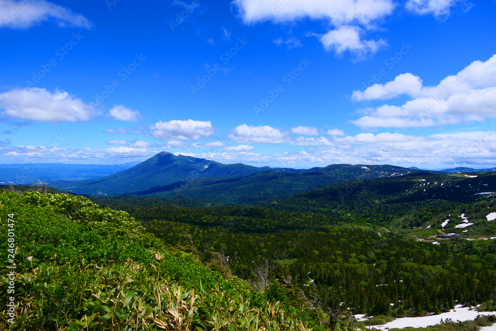 Obraz premium 十和田八幡平国立公園。八幡平頂上より岩手山を望む。岩手 日本。６月下旬。