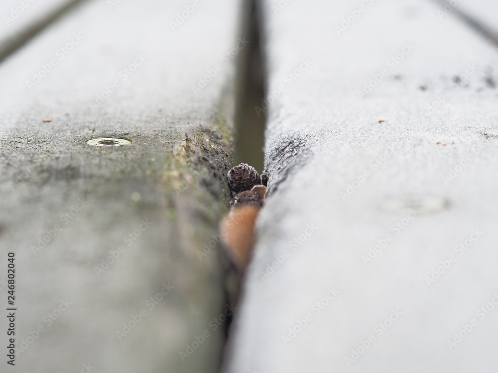 Fototapeta premium Zwischen zwei Brettern