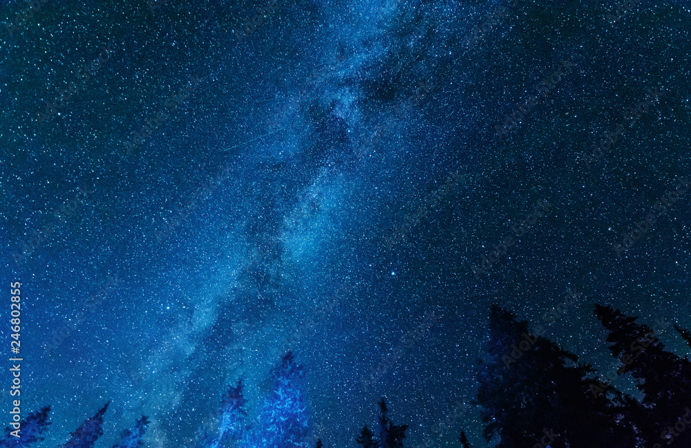 Fototapeta premium Bright night starry sky with millions of stars and galaxy Milky Way.