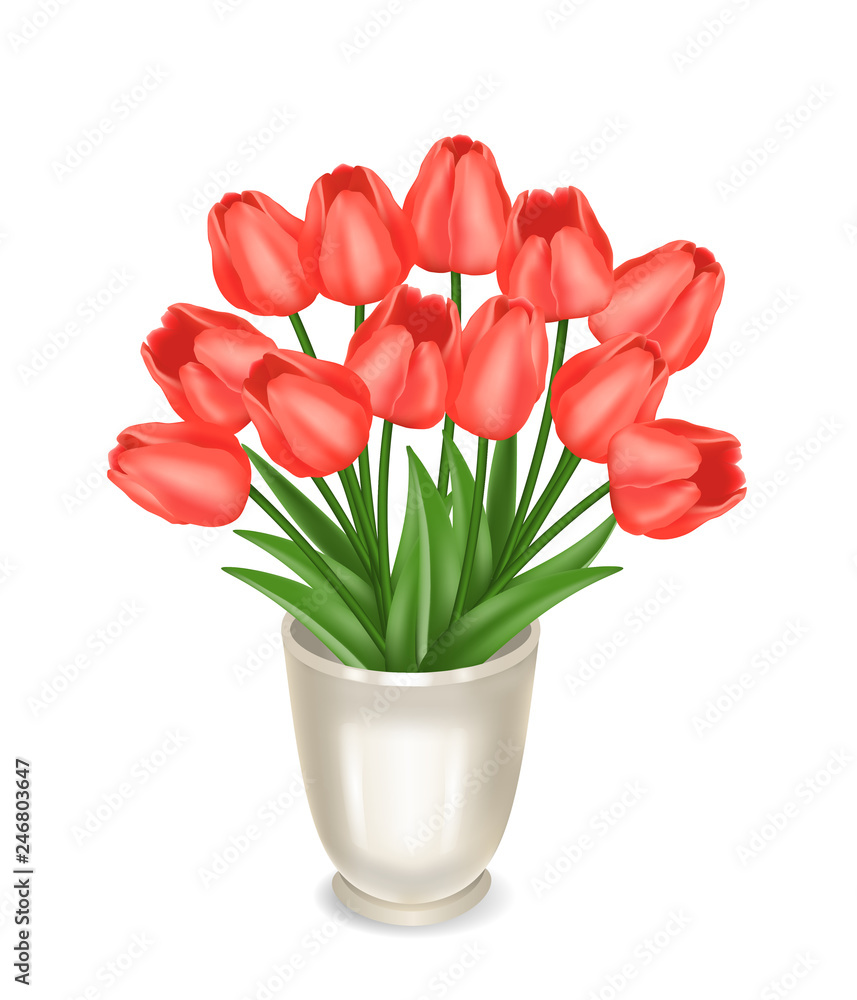 Red tulips in a vase. Vector realistic illustration, isolated. Red tulips in a vase. Vector realistic illustration, isolated.