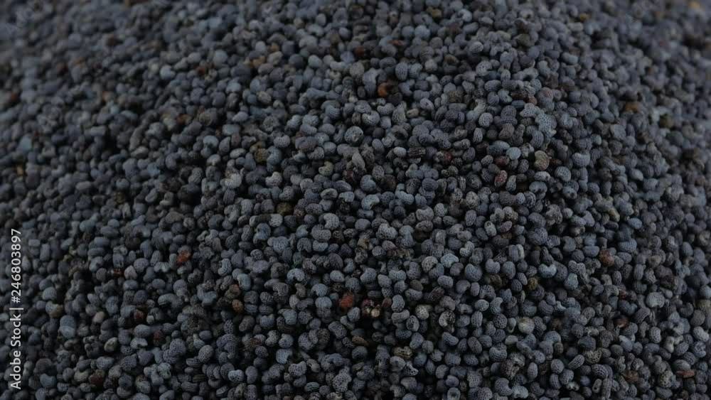 poppy seeds close up texture poppy seeds close up texture