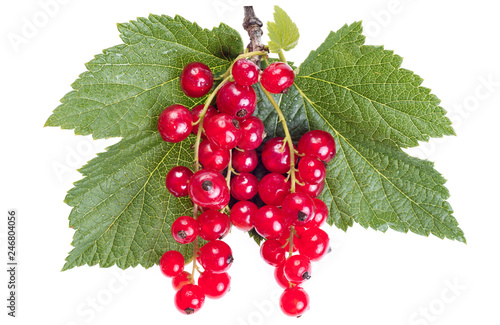 ripe red currant with green leaves isolated on white background