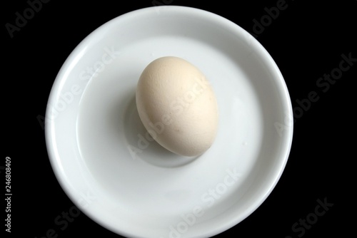 egg
