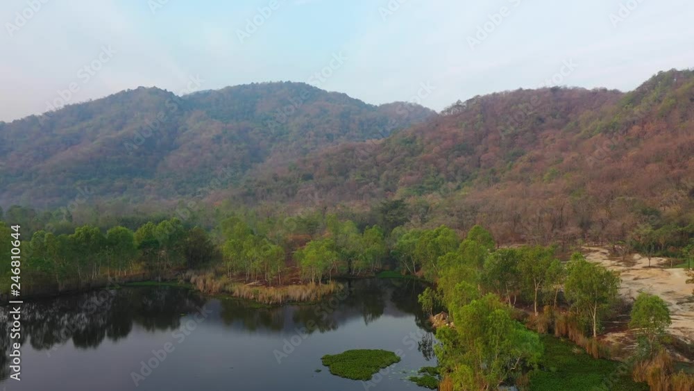 Aerial view shot of natural pond surrounded of natural the forest texture Aerial view shot of natural pond surrounded of natural the forest texture
