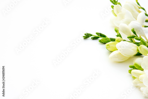 Spring background. Beautiful white spring freesia flowers on a white background. Place for text, close-up. Romantic background for spring holidays. photo
