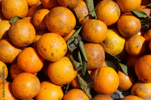 Tangerine selling in market