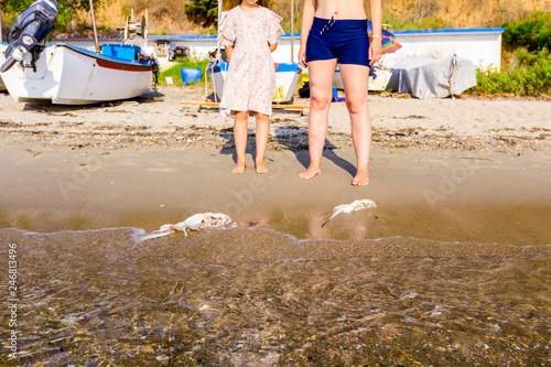 People are watching young dead stingray in shallow sea water photo