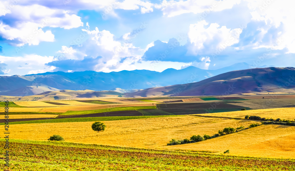 Panoramic background of beautiful yellow-green fields with blue sky and clouds - sunny day in Kahramanmaras, Turkey.