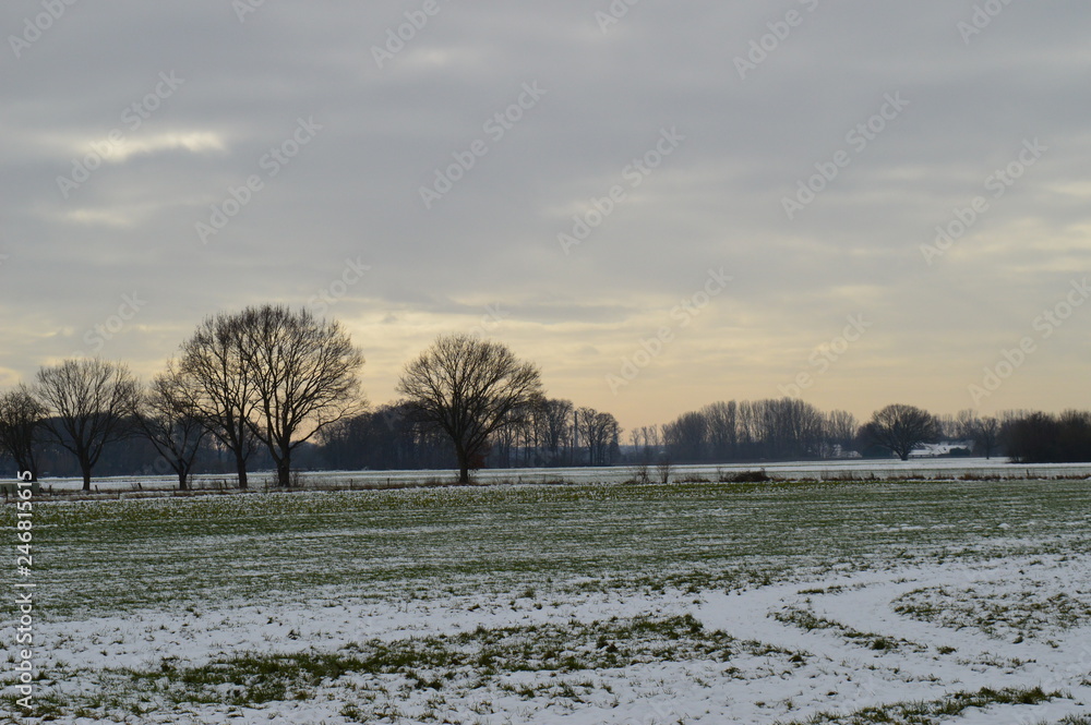 Naklejka premium Mittagssonne über einem verschneiten Feld am Niederrhein