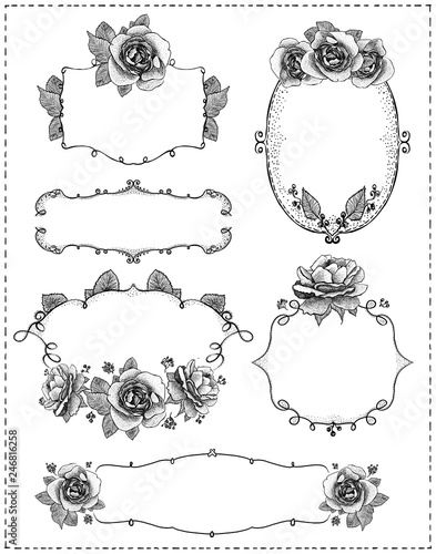 Hand drawn graphic floral frames with roses on a chalkboard