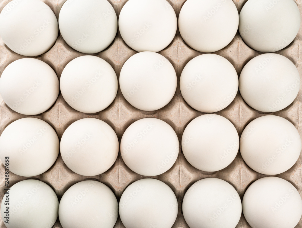 Eggs Eggs