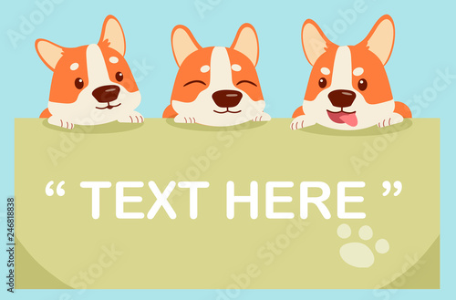 character cartoon corgi with text box