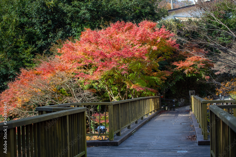 女橋(出会い橋)と紅葉 女橋(出会い橋)と紅葉