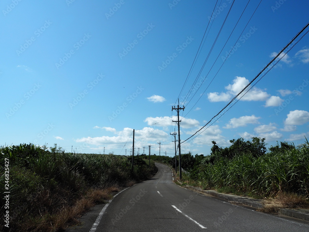 サトウキビ畑の間を走る一本道、沖縄県小浜島
