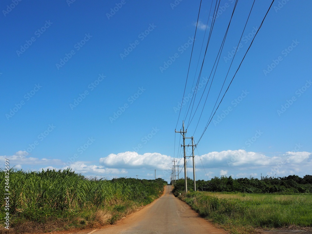 Straight path in the countryside, Kohama Island, Okinawa