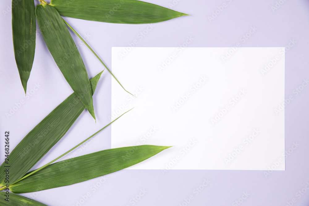 Fototapeta Liść bambusa z pustą białą kartą