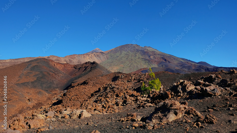 Montaña Samara in Teide National Park, one of the most unusual volcanic landscape with views towards Pico del Teide, Pico Viejo, Las Cuevas Negras and open pine forests, in Tenerife, Canary Islands