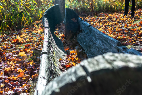 Old wooden boat sprinkled with orange autumn leaves in a reconstructed Stone Age settlement of Archaeological Site in Gauja National Park, Araisi, Latvia. photo