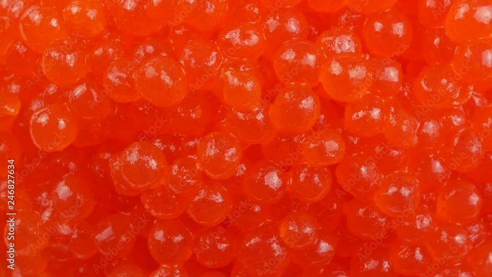 Delicious seafood close up. Red caviar macro. Red caviar tasty and fresh. Expensive delicatessen salted and from sea. Salmon and trout caviar. Fresh and salted red caviar. Gourmet food close up Delicious seafood close up. Red caviar macro. Red caviar tasty and fresh. Expensive delicatessen salted and from sea. Salmon and trout caviar. Fresh and salted red caviar. Gourmet food close up