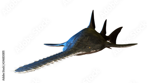 3D Rendering Onchopristis Fish on White