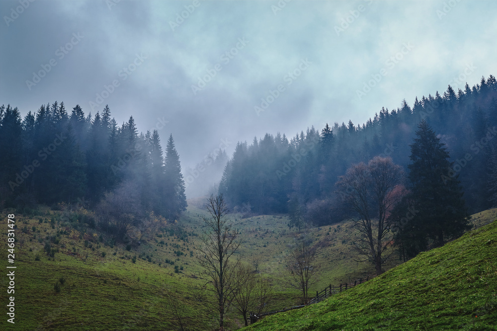 beautiful view of a foggy autumn mountain landscape with a cloudy sky
