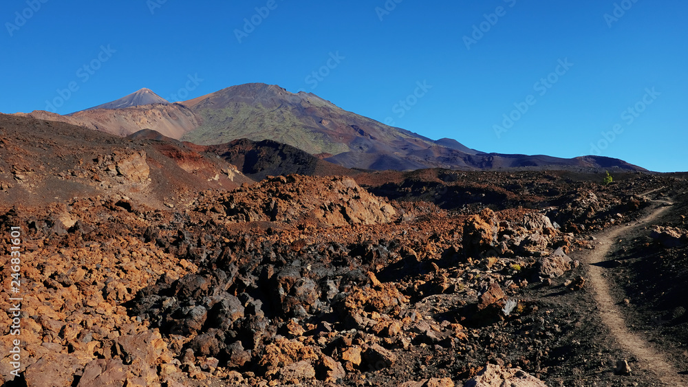 Path through the lunar landscape of Montana Samara in Teide National Park, one of the most alien-like, volcanic land in Tenerife with views towards Pico del Teide, Pico Viejo, and Las Cuevas Negras