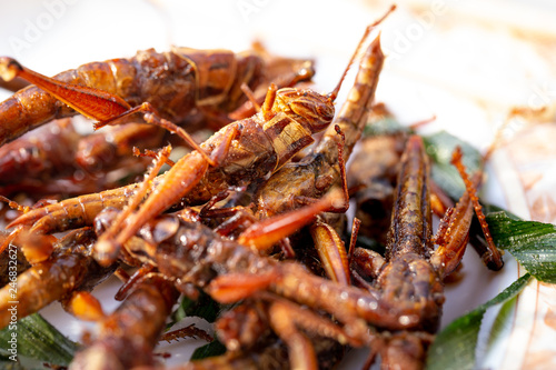 Fried grasshoppers.