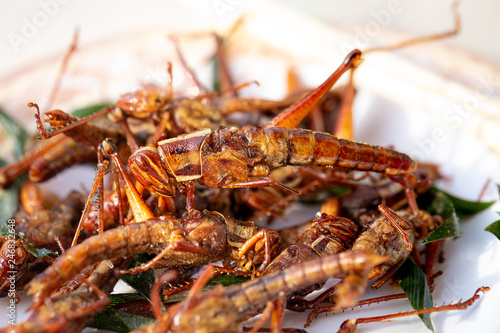Fried grasshoppers. © Pituk
