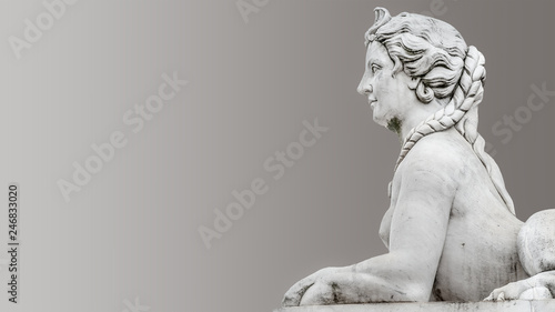 Statue of beautiful sphinx in downtown of Potsdam isolated at smooth even background, Germany, portrait, details