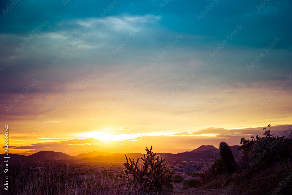 A beautiful image of a sunset over a desert with a cactus in the foreground and mountains in the distance.  The sky has warm golden colors on the horizon with cool blue tones in the clouds at the top 