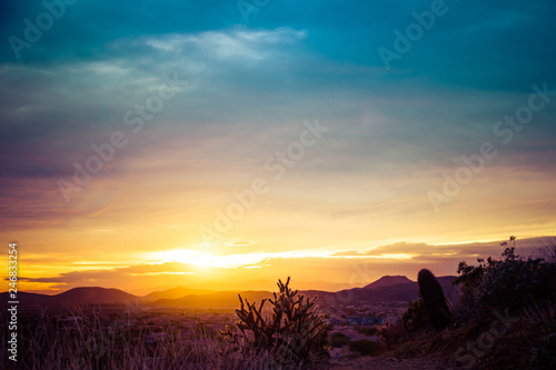 A beautiful image of a sunset over a desert with a cactus in the foreground and mountains in the distance. The sky has warm golden colors on the horizon with cool blue tones in the clouds at the top 