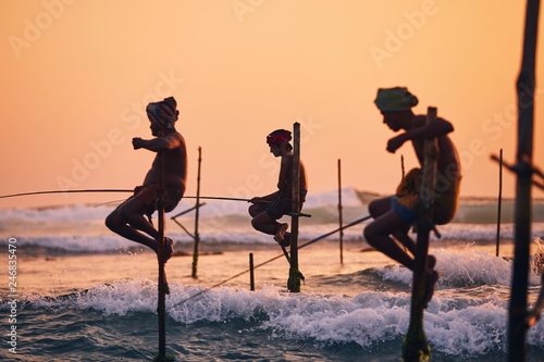 Fotografie Traditional stilt fishing in Sri Lanka